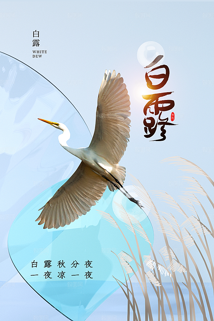 白露节气简约大气海报