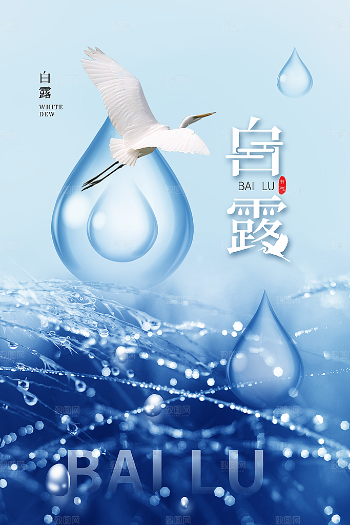 白露节气简约大气海报