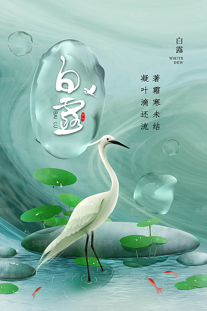 传统节气白露海报模版
