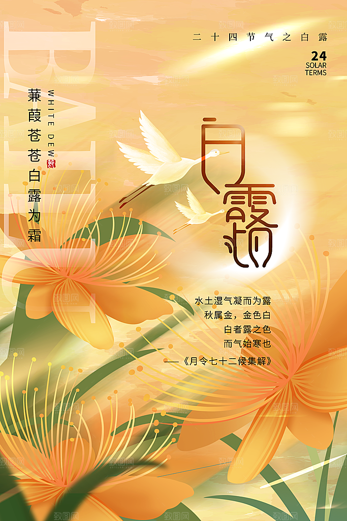 传统节气白露海报模版
