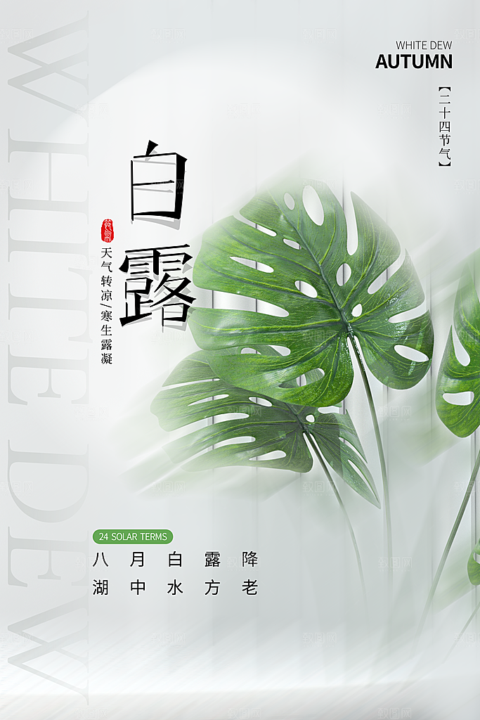 传统节气白露海报模版