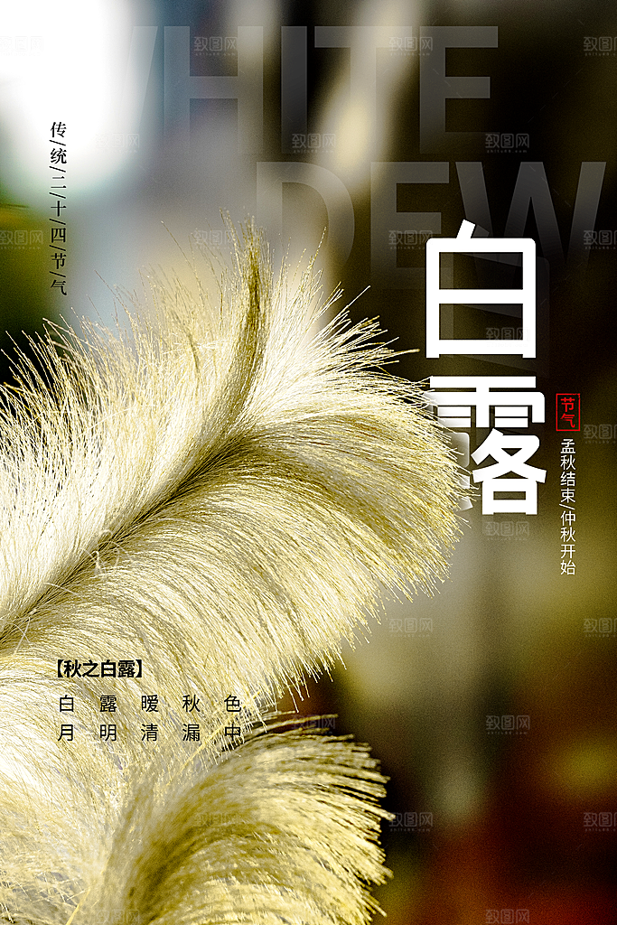 传统节气白露海报模版