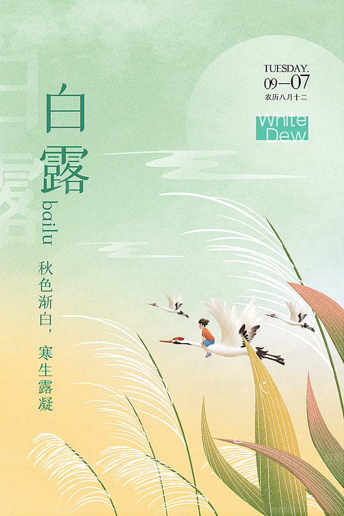 白露节气简约大气海报