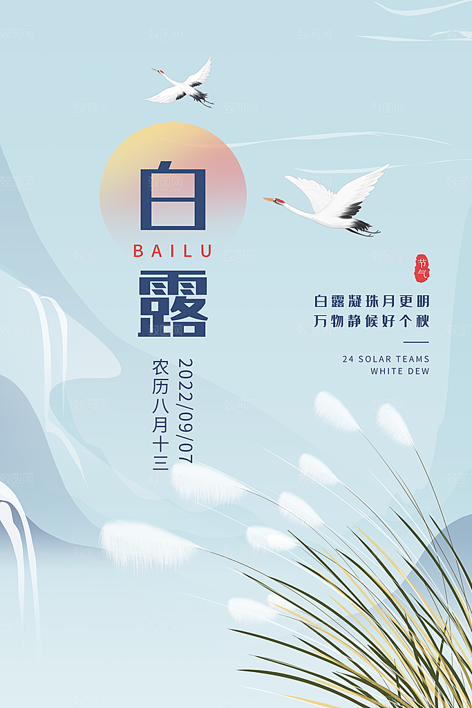 白露节气简约大气海报