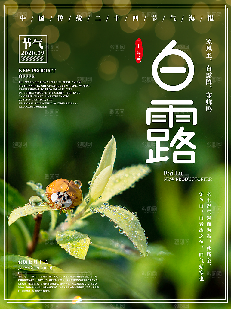 传统节气白露海报模版