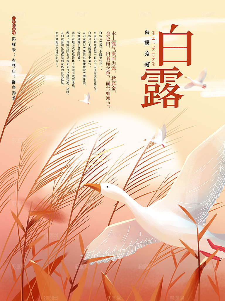 传统节气白露海报模版