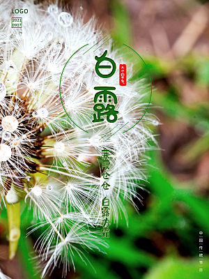 传统节气白露海报模版