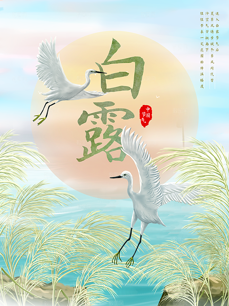 传统节气白露海报模版