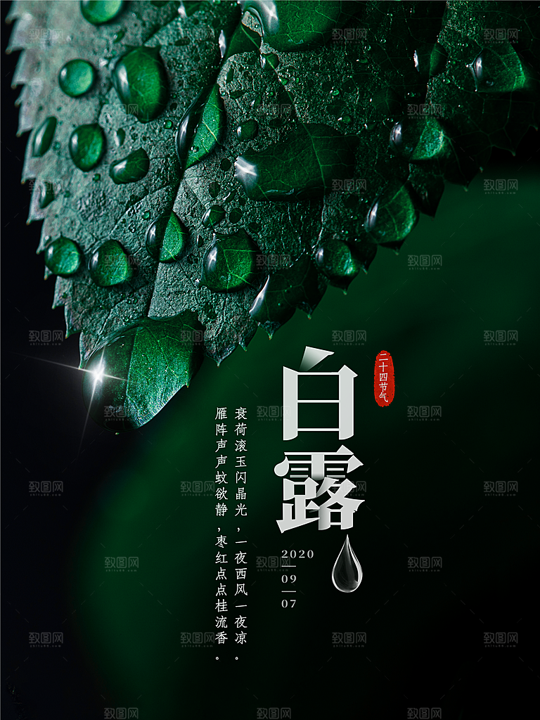 白露节气简约大气海报