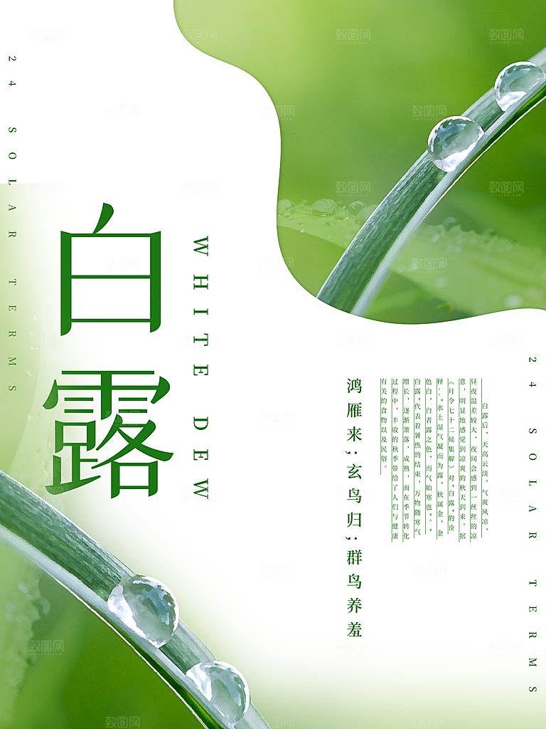 白露节气简约大气海报