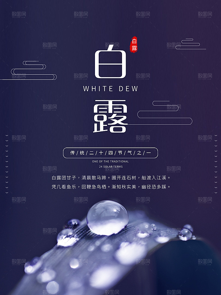 白露节气简约大气海报