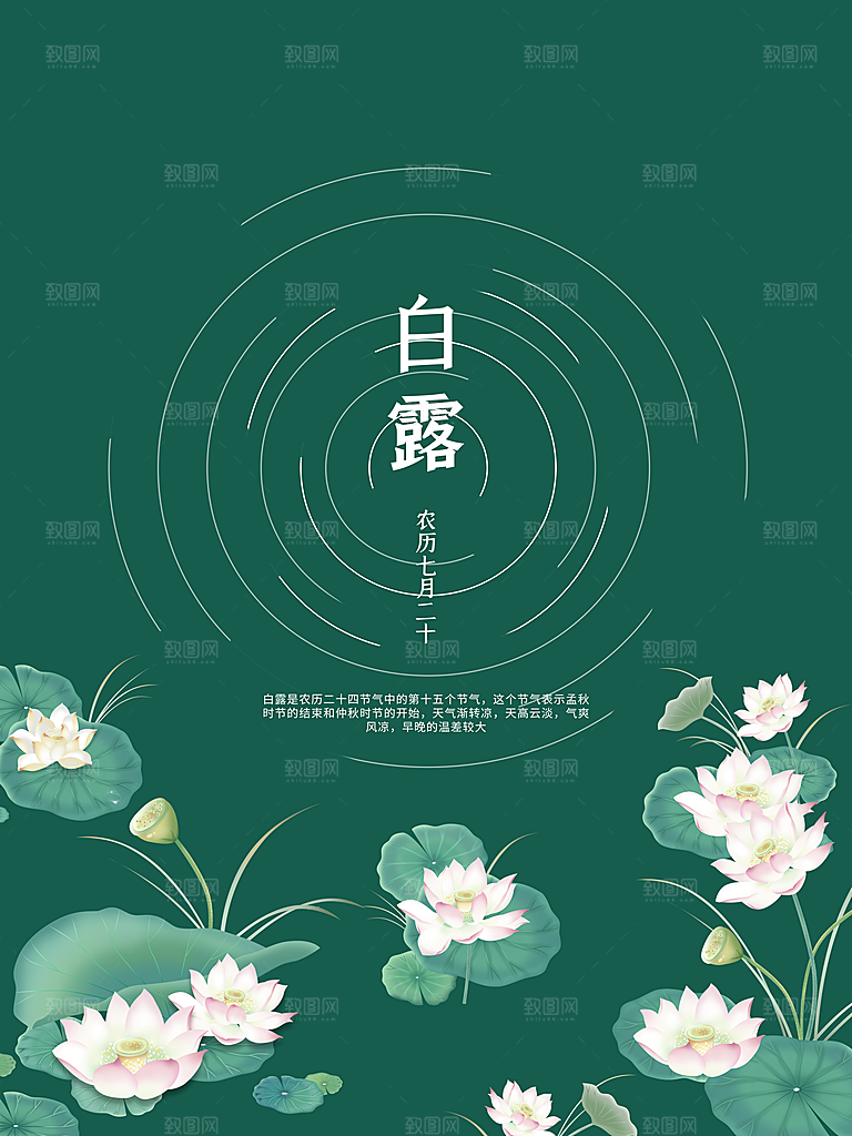 白露节气简约大气海报