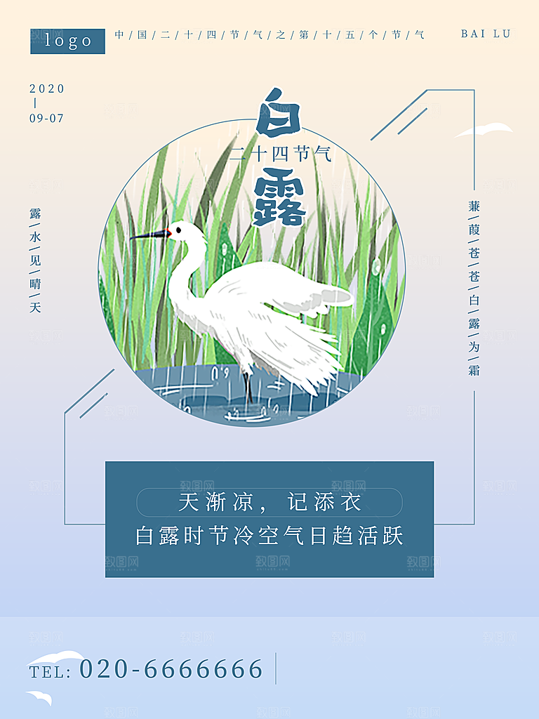 白露节气简约大气海报