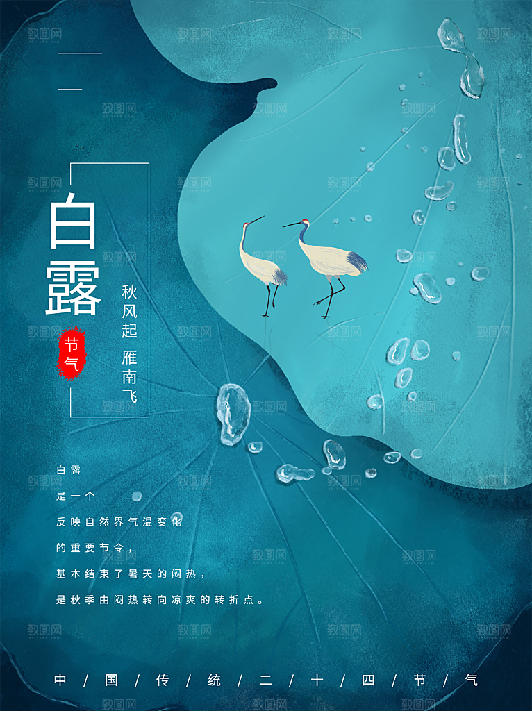 白露节气简约大气海报