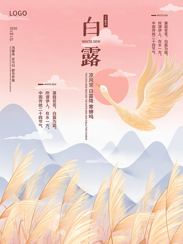 传统节气白露海报模版