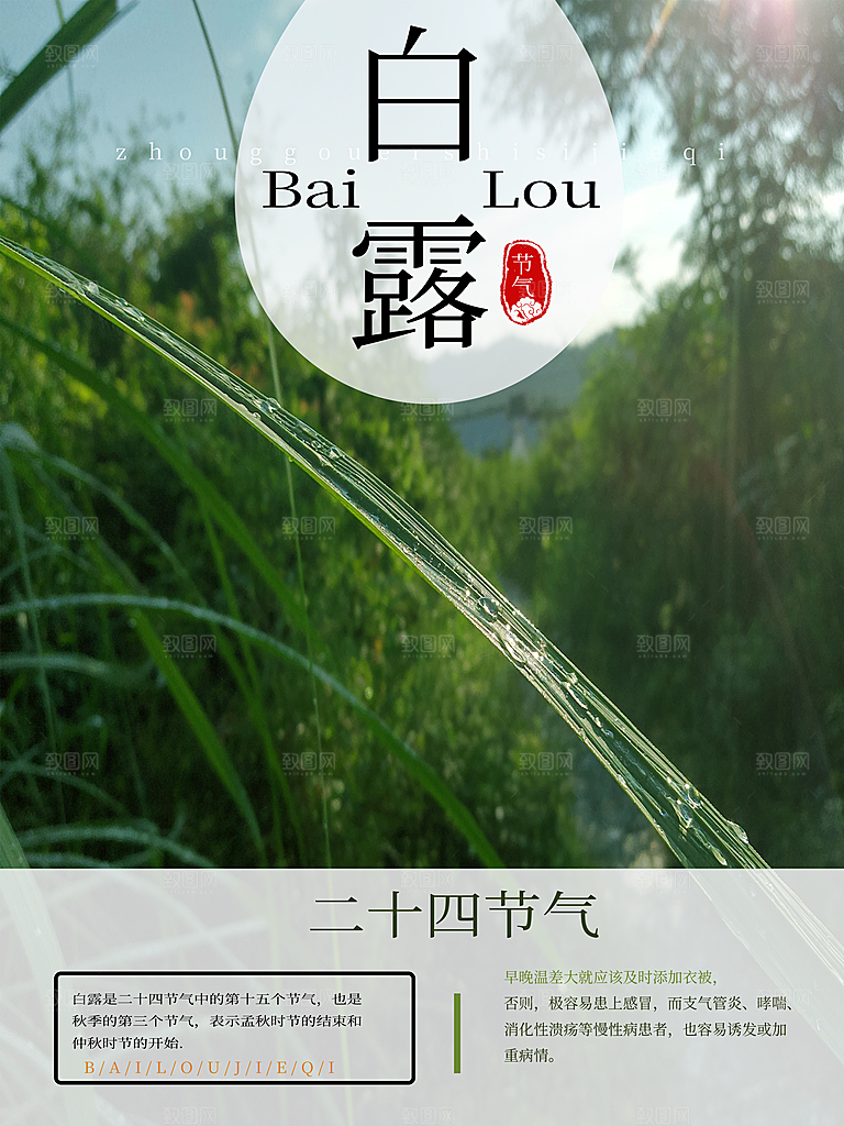 传统节气白露海报模版