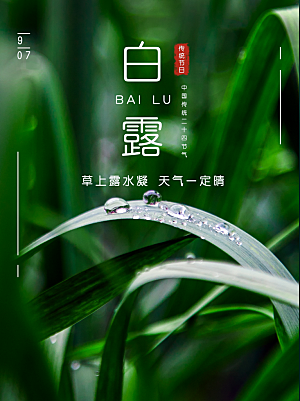 传统节气白露海报模版