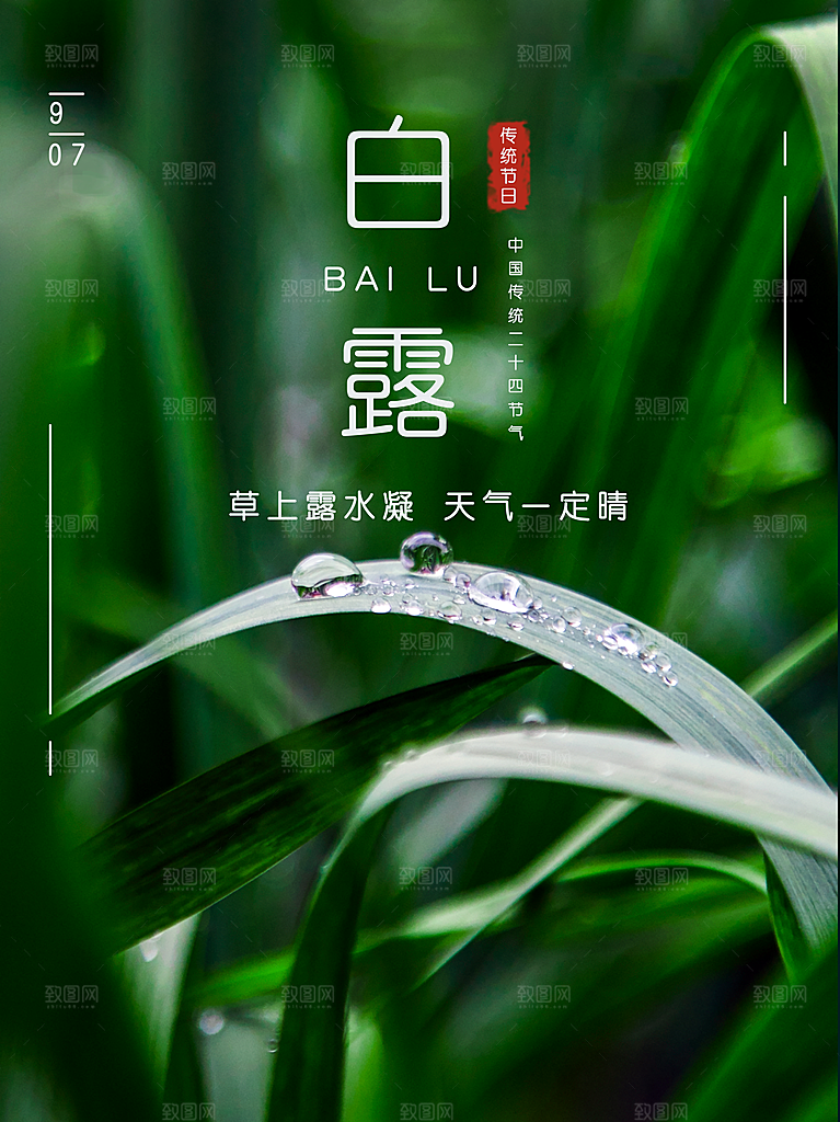 传统节气白露海报模版