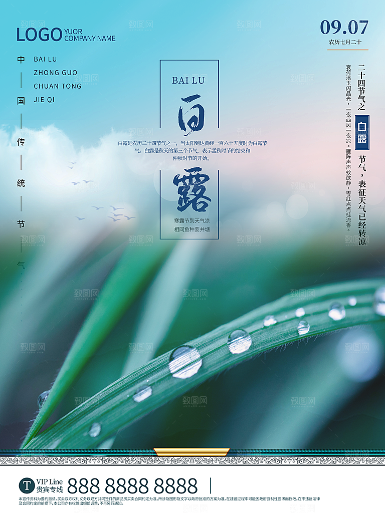 传统节气白露海报模版