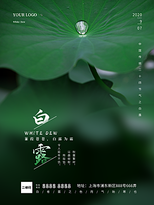 传统节气白露海报模版