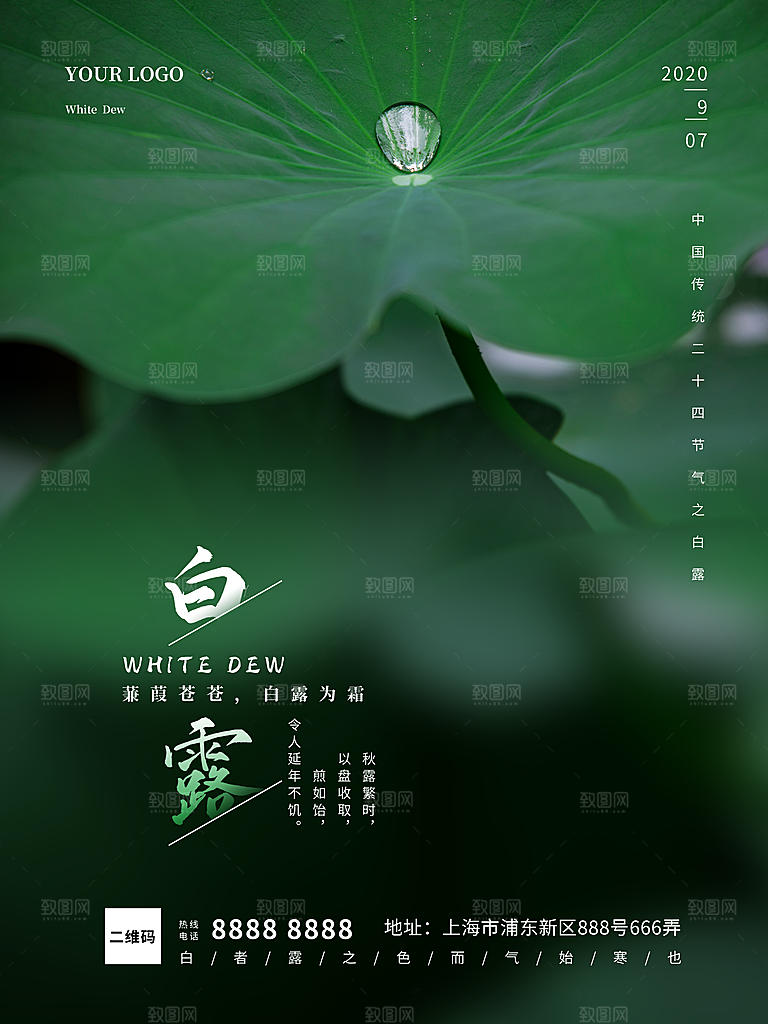 传统节气白露海报模版