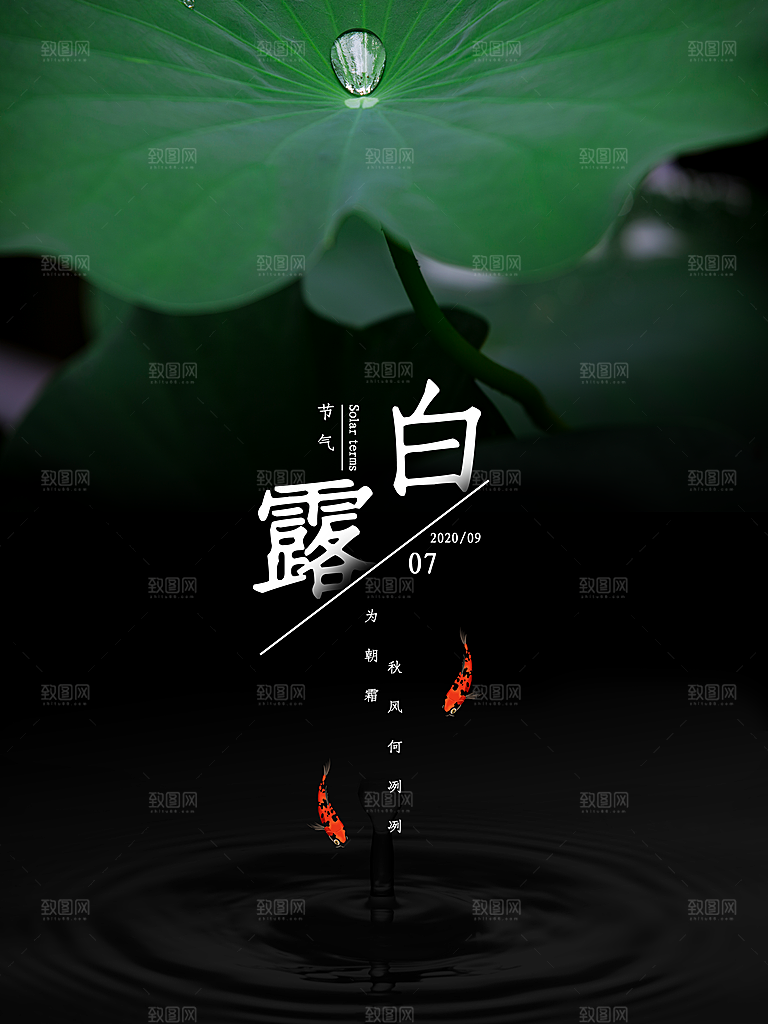 白露节气简约大气海报