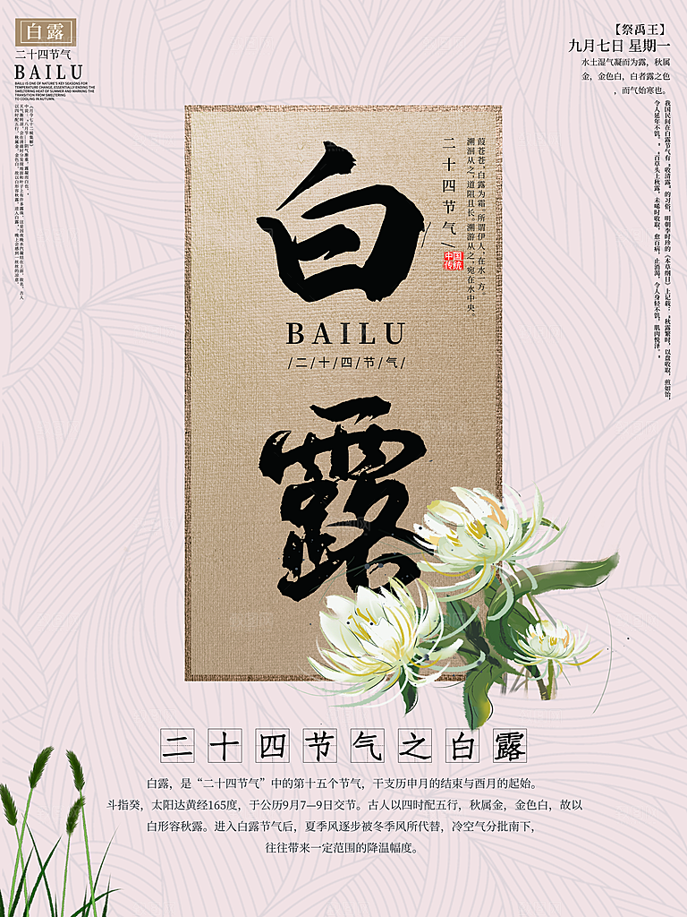 白露节气简约大气海报