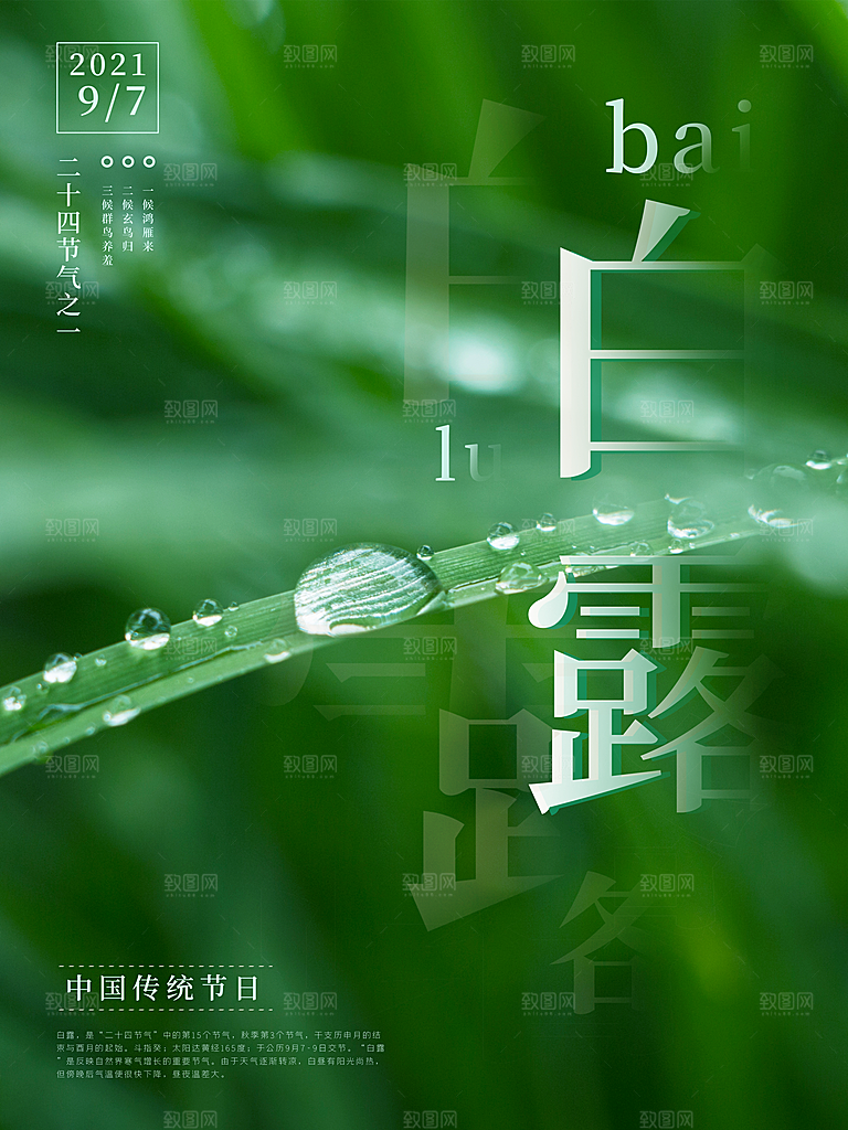 白露节气简约大气海报