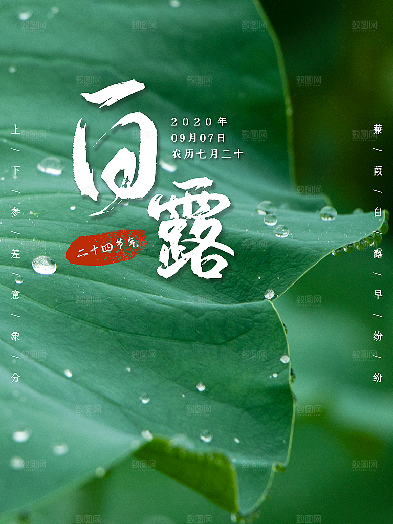 传统节气白露海报模版