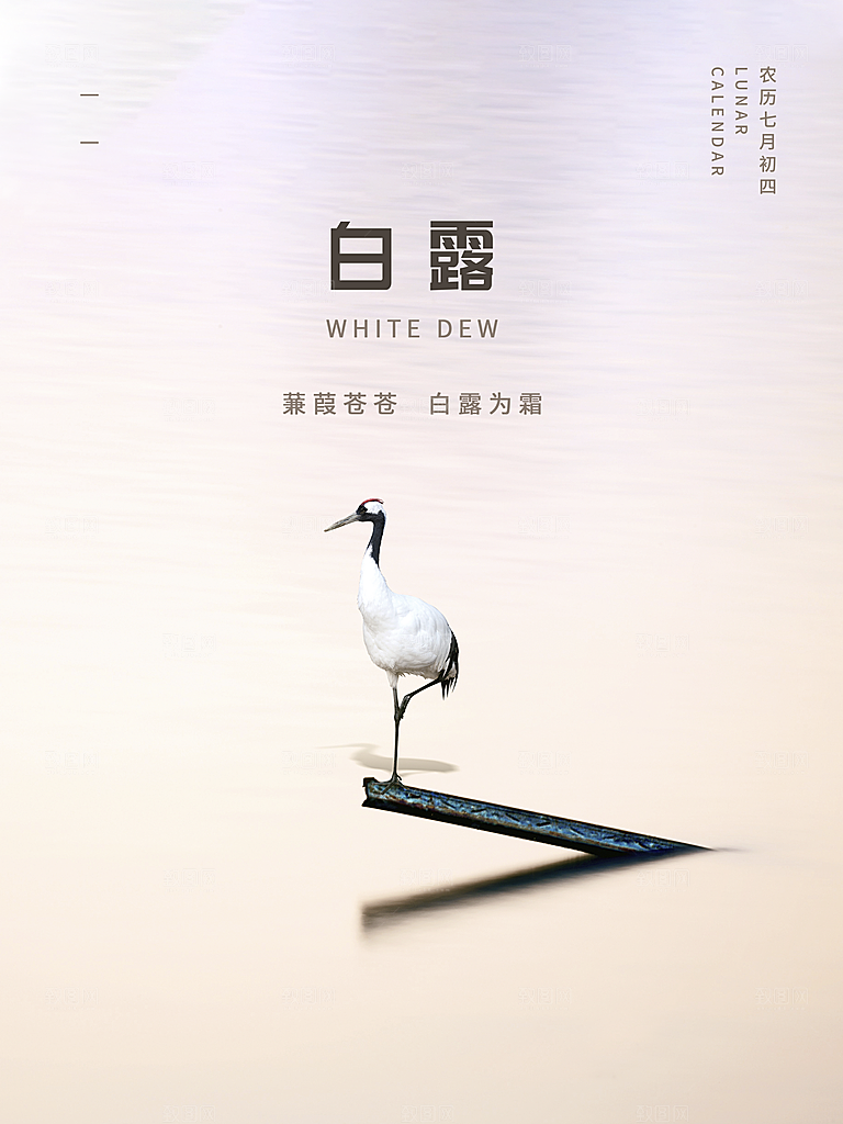 传统节气白露海报模版