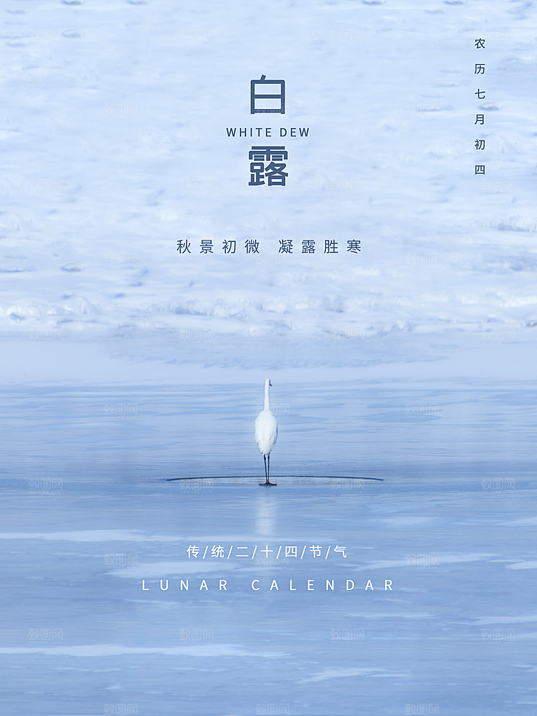传统节气白露海报模版