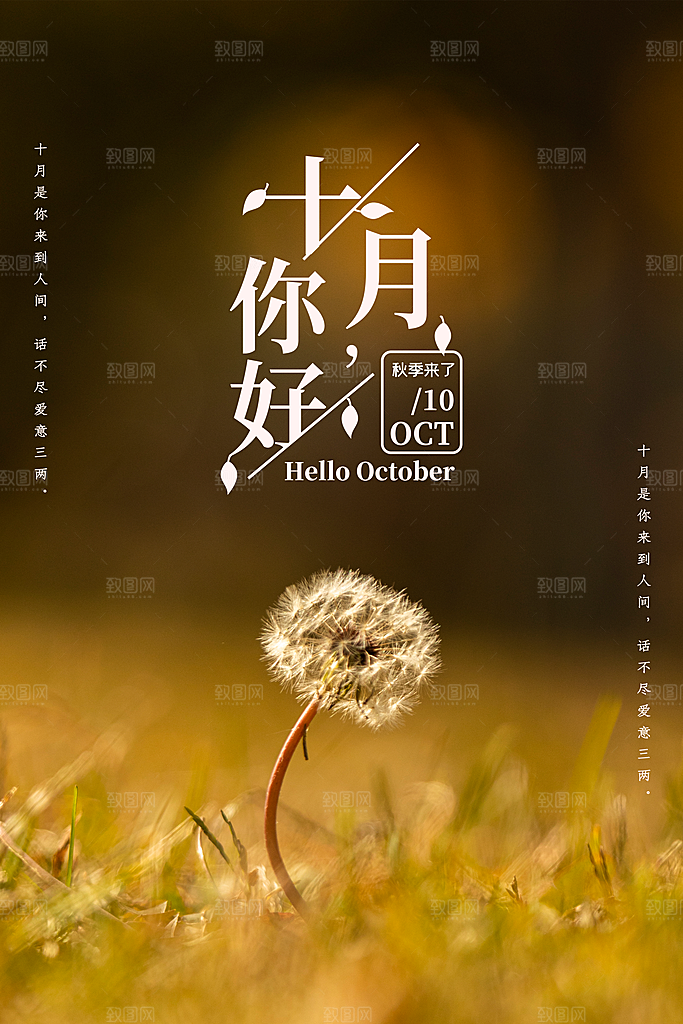 金秋十月秋天唯美日签打卡海报