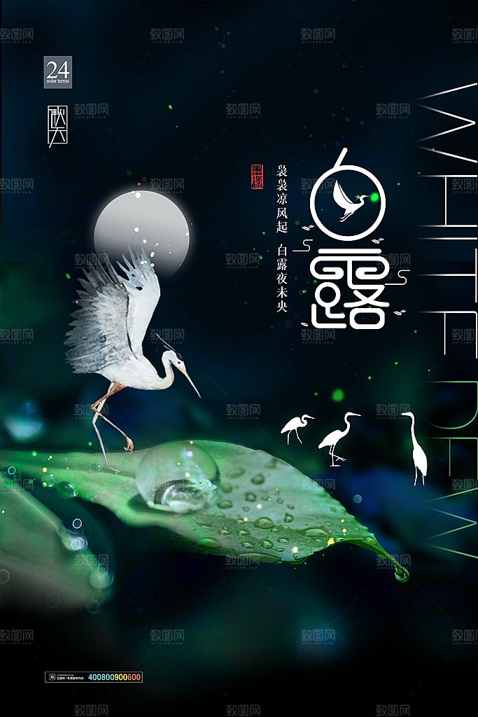 白露节气简约大气海报