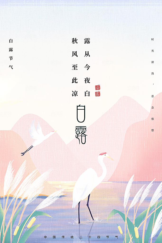 传统节气白露海报模版