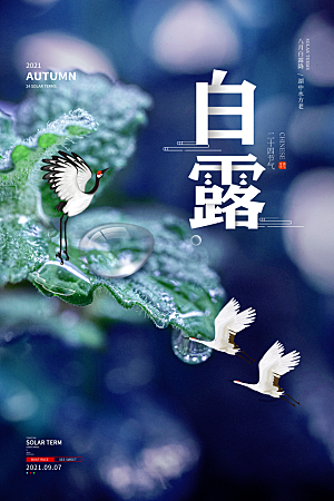 传统节气白露海报模版
