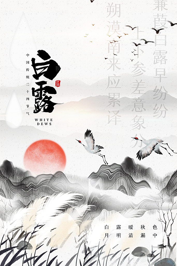 白露节气简约大气海报