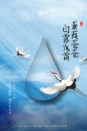 白露节气简约大气海报