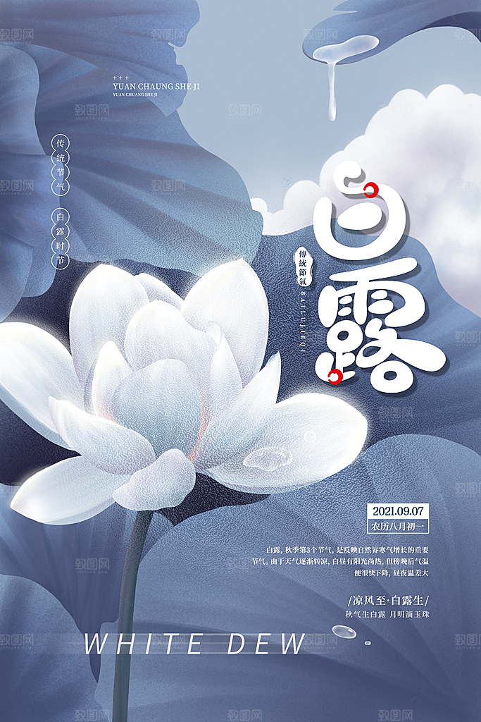 白露节气简约大气海报