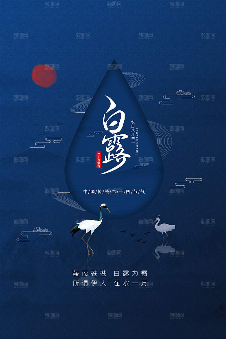 白露节气简约大气海报