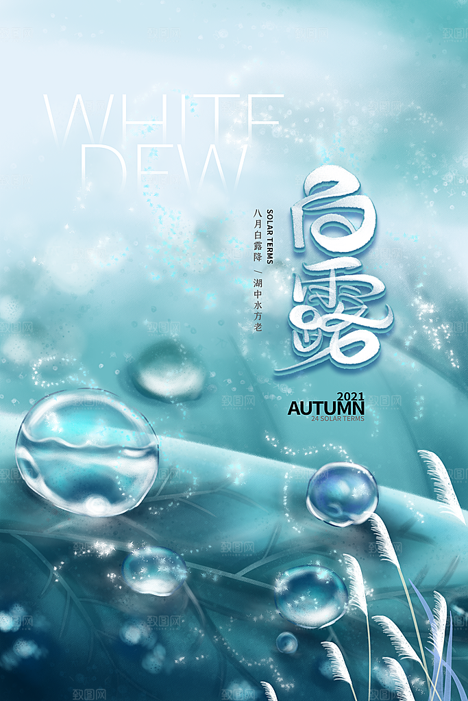 传统节气白露海报模版