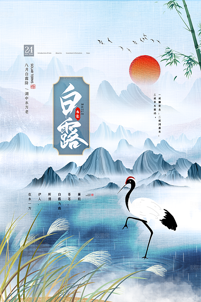 传统节气白露海报模版