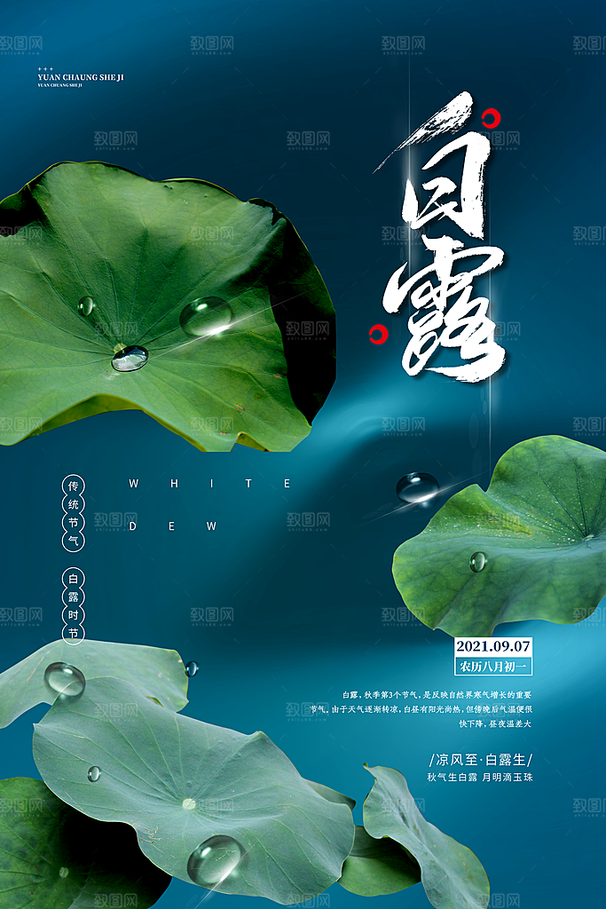 传统节气白露海报模版