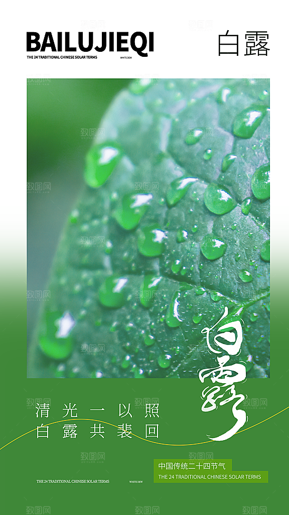 二十四节气白露海报