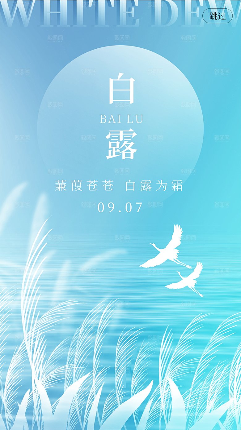 二十四节气白露海报