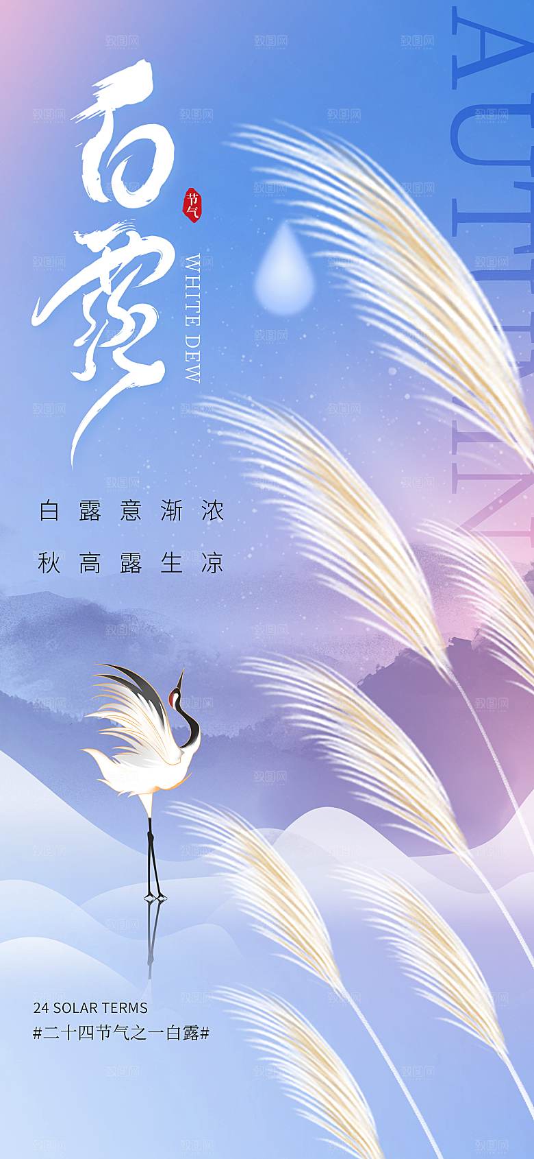 二十四节气白露海报
