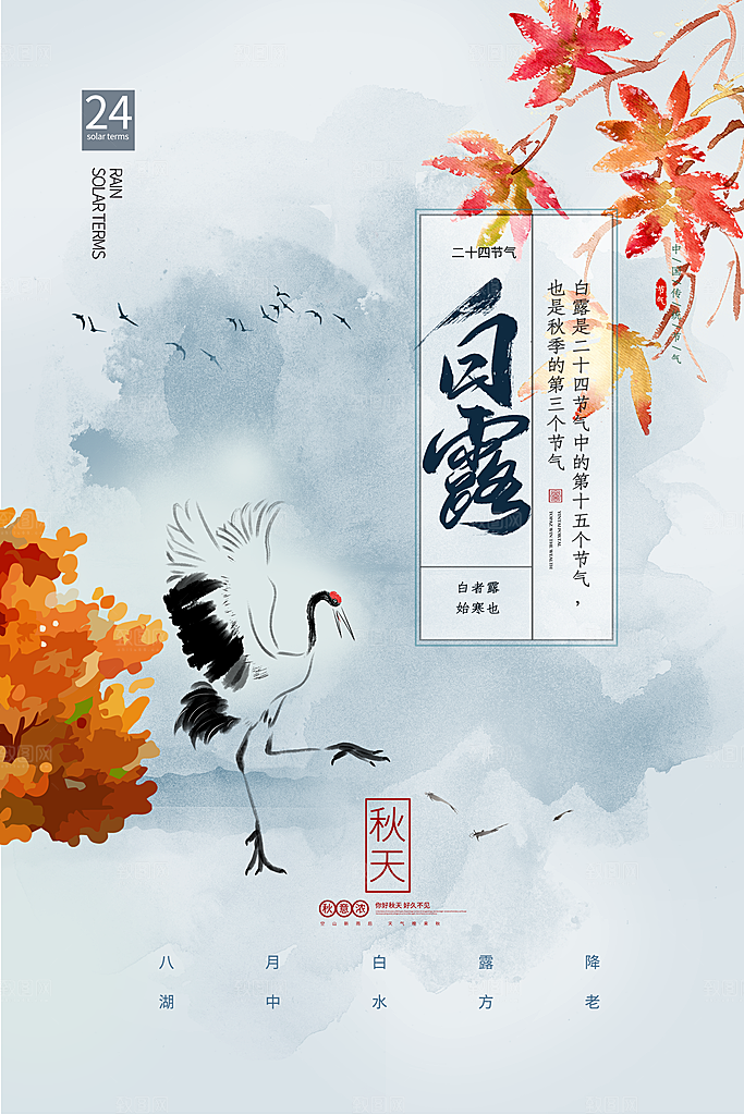 白露节气简约大气海报