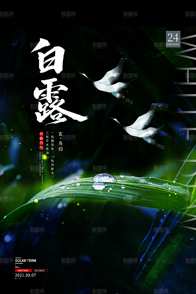 白露节气简约大气海报