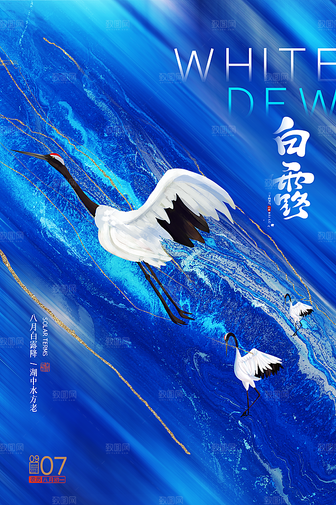 白露节气简约大气海报