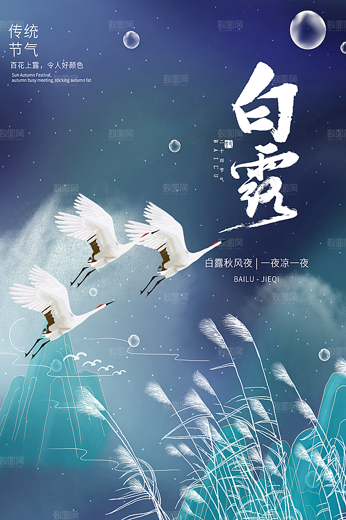 白露节气简约大气海报