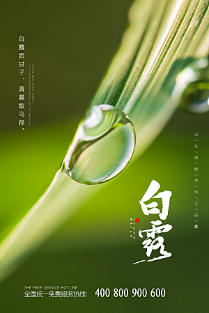 传统节气白露海报模板
